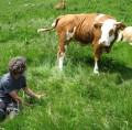 Yoga am Begbauernhof